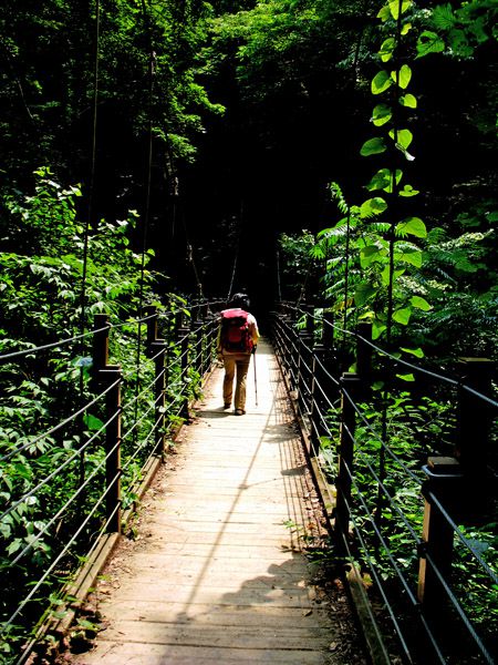 4号路の吊橋（みやま橋）を渡る