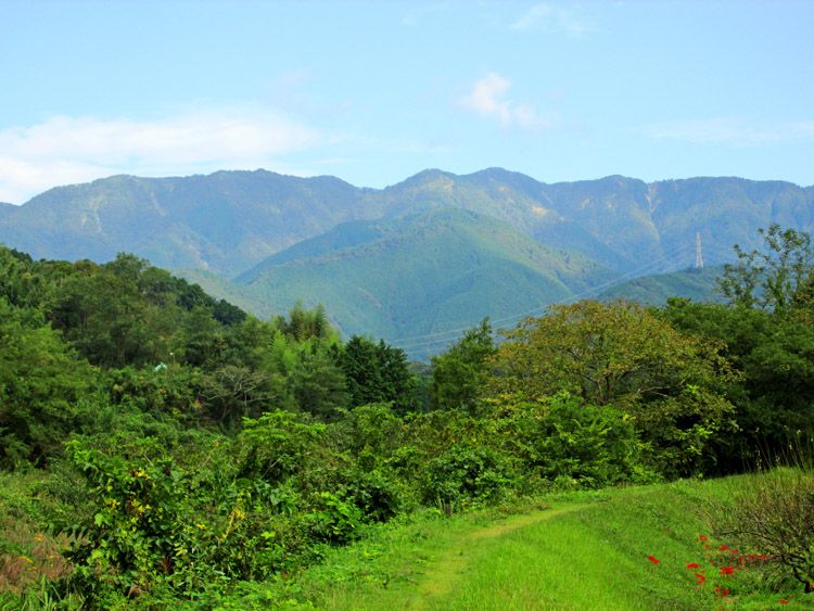 四十八瀬川の堤防道から丹沢（二つのピークの右が塔ノ岳）