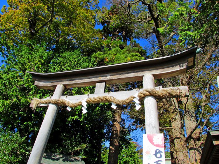 比々多神社の鳥居