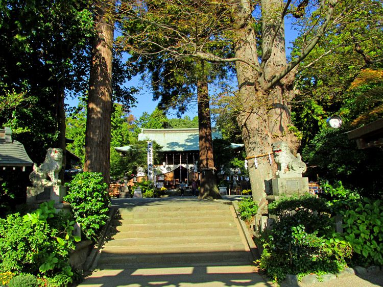 比々多神社鳥居前より