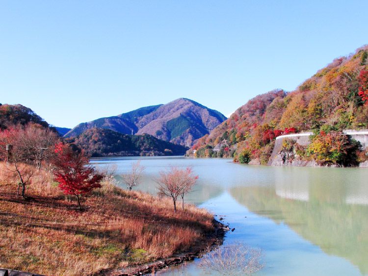 玄倉からの丹沢湖と太郎小屋山（843m）