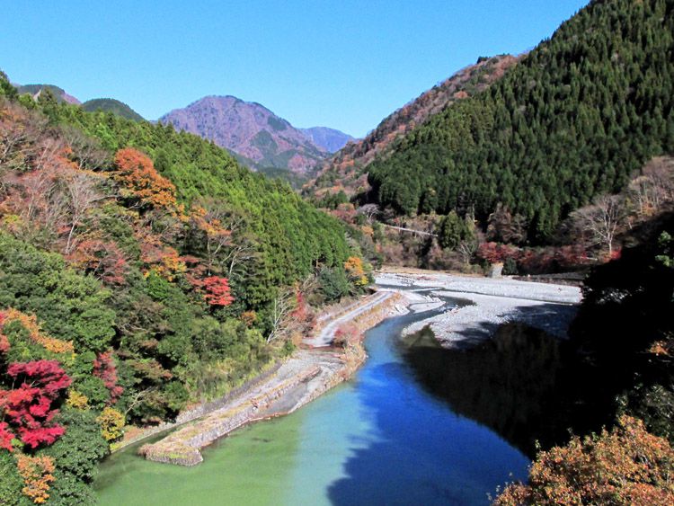 中川橋より箒沢権現山（前権現：1138m）方面