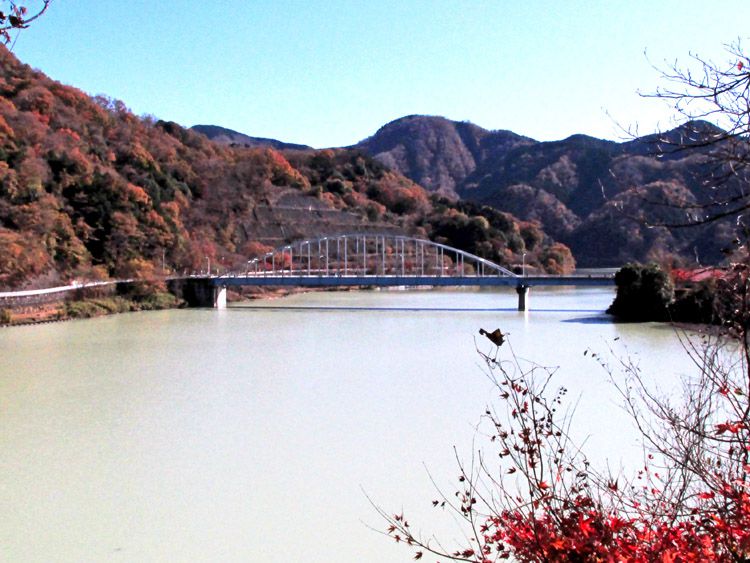 焼大隧道を過ぎ大仏大橋が近づいてきた