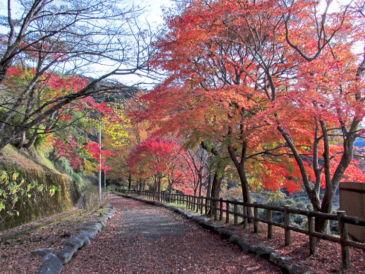 ダム広場の遊歩道