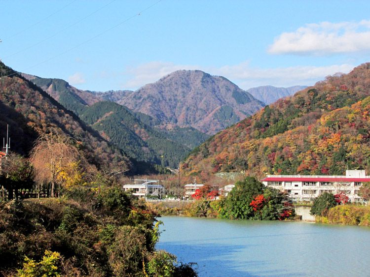 丹沢湖バス停より箒沢権現山（前権現）