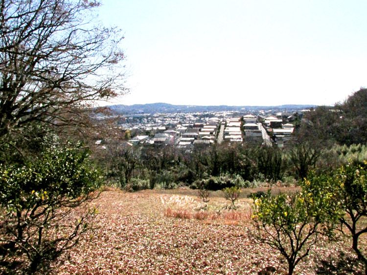 野仏の道から見た鶴巻温泉の住宅地