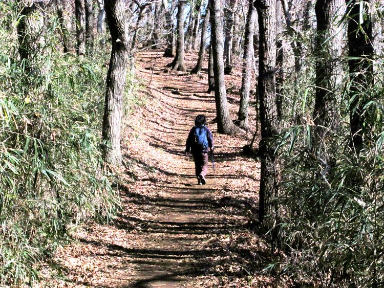 鶴巻温泉への尾根道