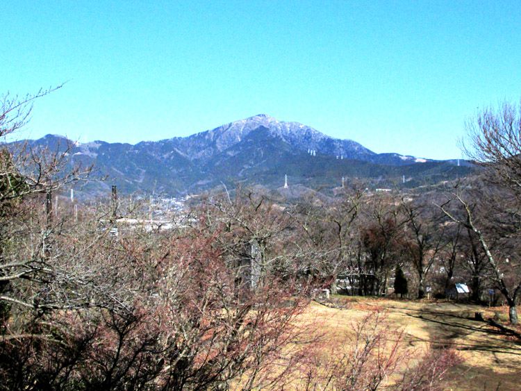 権現山展望台からの大山