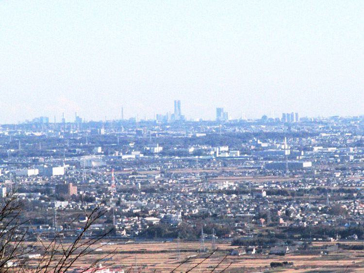 権現山からの横浜方面（中央が横浜ランドマークタワー）