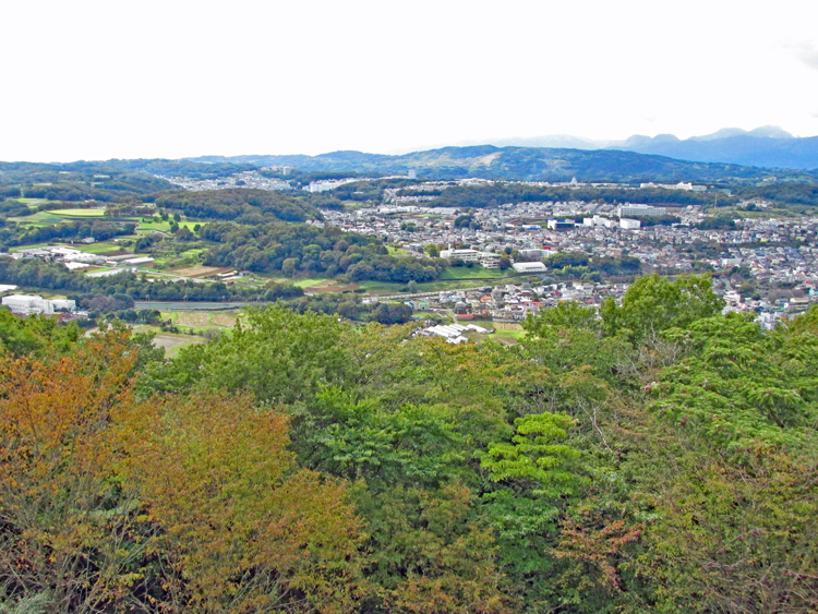 中央に小田急線の電車が見える。上方は渋沢丘陵、右上が箱根方面