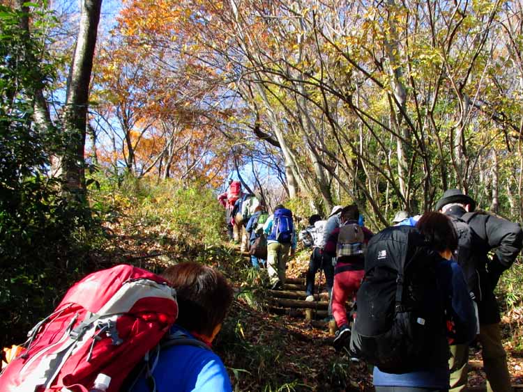 鶴巻温泉の登山口から登り始める