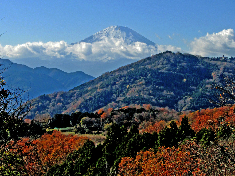 神奈川県　秦野　丹沢　渋沢丘陵　八国見山　やくにみやま