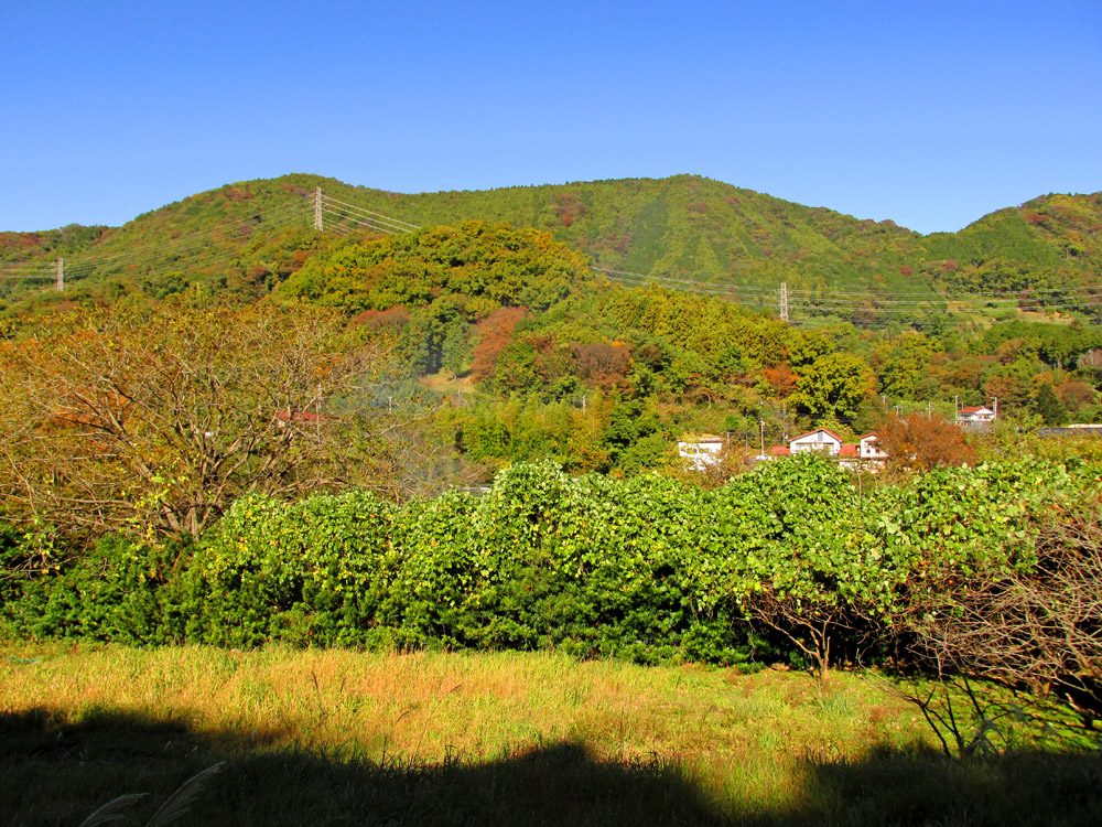矢倉沢往還北側（聖峰方面）の風景