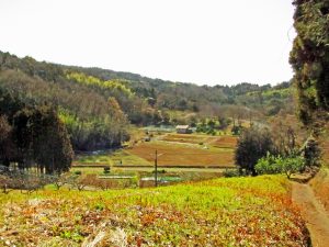 農道からの里山風景