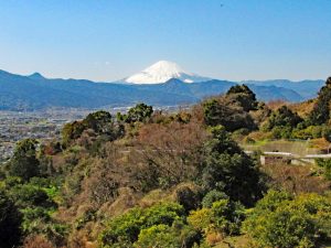 下曽我へ下る途中からの富士山