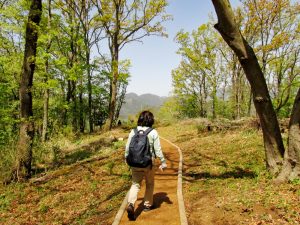 頭高山山頂からは丹沢・塔ノ岳方面の展望が得られる。