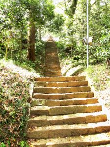 三嶋神社の急な階段（写真の見た目以上に急です）