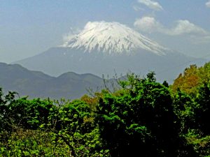 富士見塚からの富士山