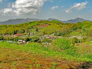 了全山の登りはじめると篠窪や丹沢が見える（上方、左が鍋割山、右が大山）