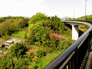 県道708号秦野大井線の篠窪大橋と山里の風景
