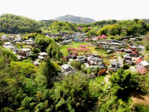 篠窪大橋から篠窪の集落を見る。上方左は椎の木森、中央の山は松田山 568m