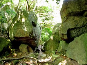 岩交じりの登山道