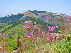 丹沢・山北つぶらの公園～奥山家道