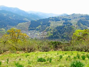 奥山家道「湯触」付近からの谷峨集落（中央左）